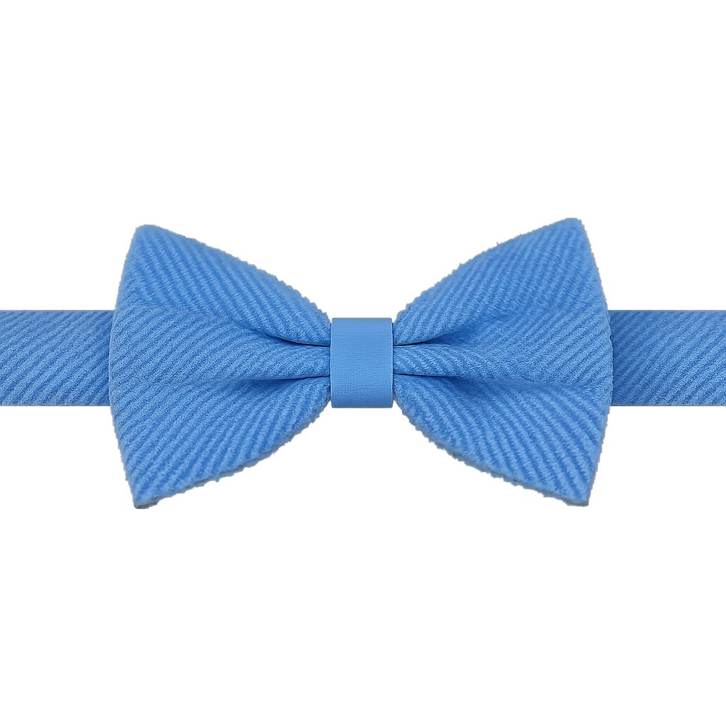 Hellblaue Fliege mit Muster